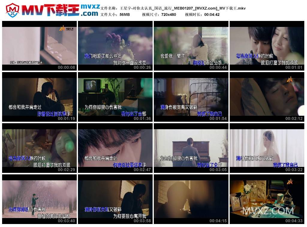 王星宇-对你太认真_国语_流行_MEB01207